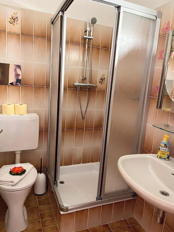 Fruehstueckspension Elena Nicoleta Caltun Fischamend Extérieur photo